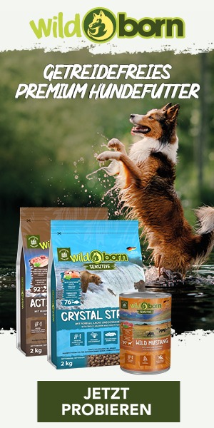 Werbebanner Platzhalter