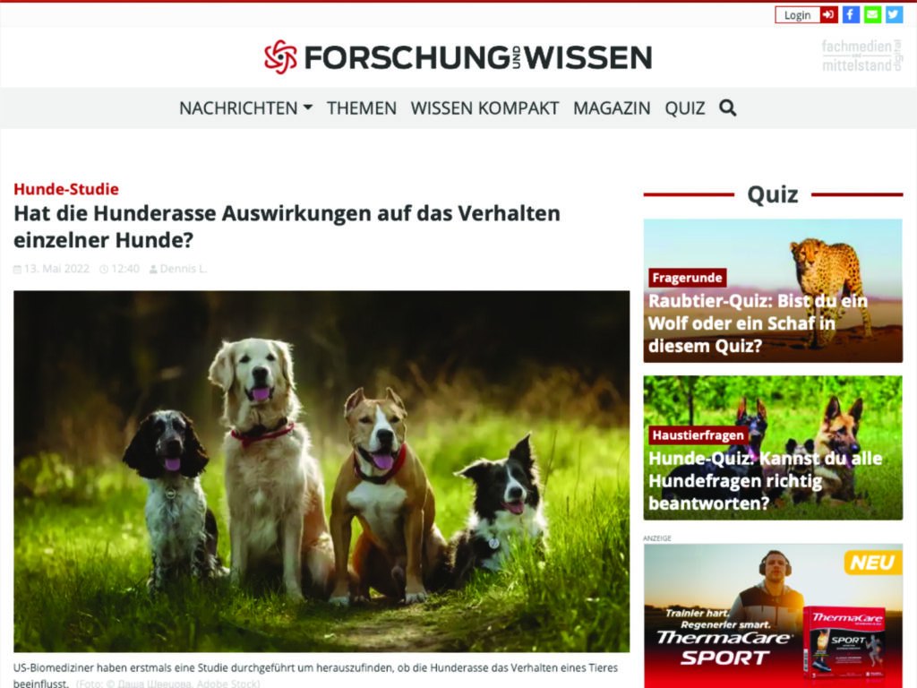 Hat die Hunderasse Auswirkungen auf das Verhalten einzelner Hunde?